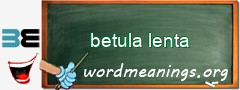 WordMeaning blackboard for betula lenta